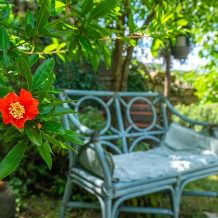 Da Lia Apartamento Momjan